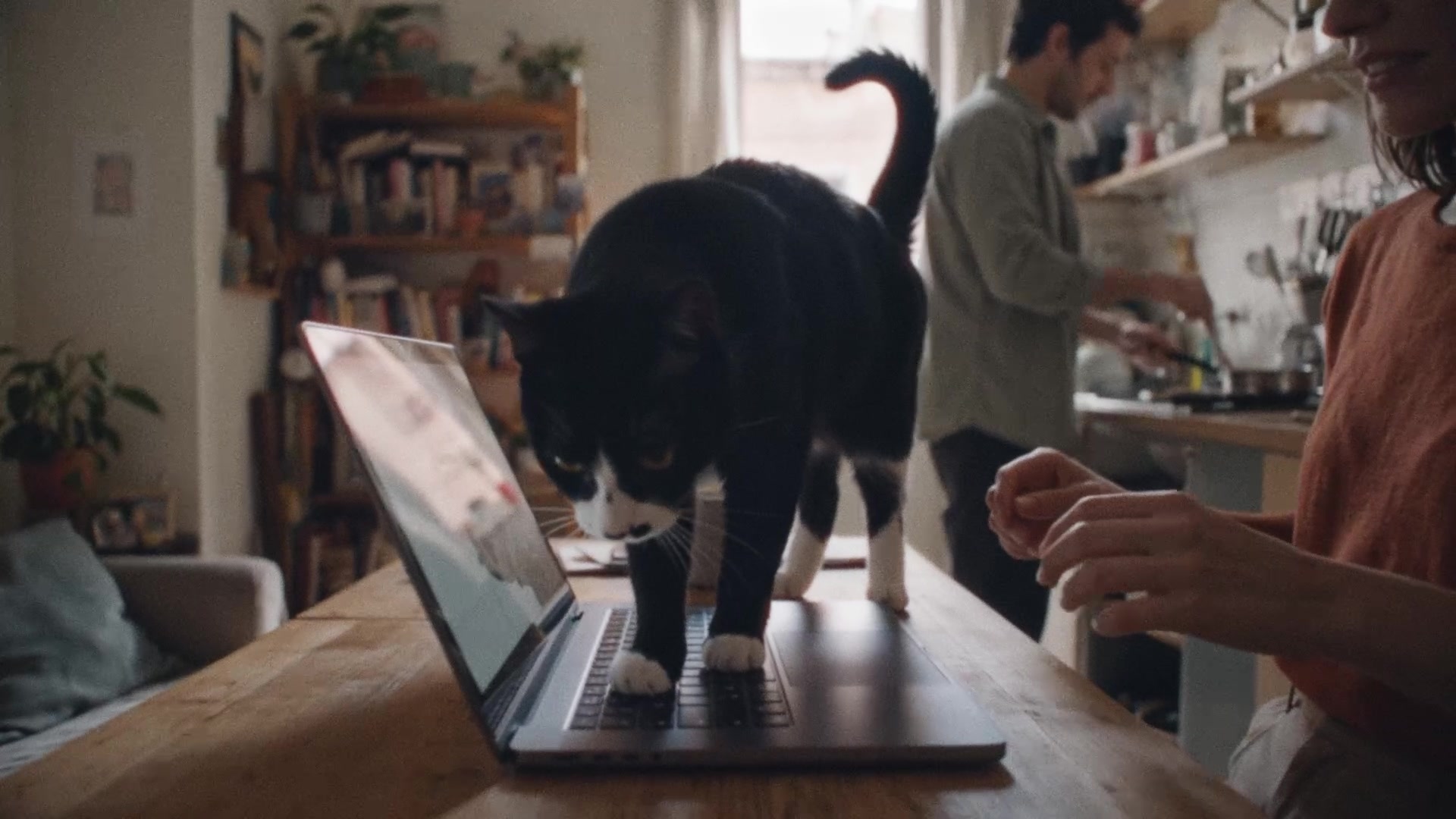 El gato sobre la mesa